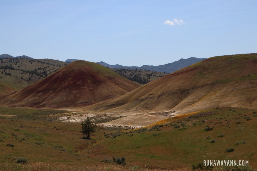 Painted Hills, Oregon, USA