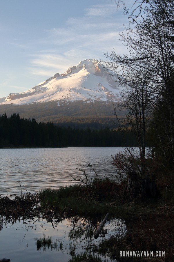Trillum Lake, Oregon, USA
