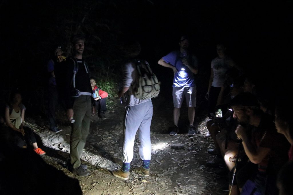 Night jungle trekking, Taman Negara, Malaysia