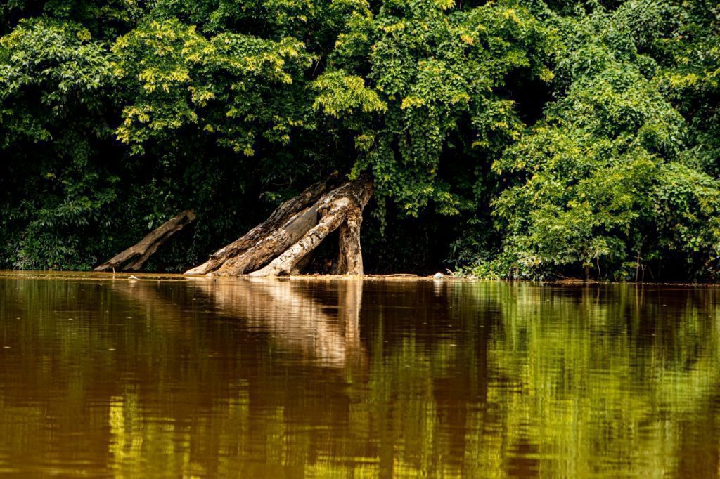 10 Powodów, aby Odwiedzić Park Narodowy Taman Negara w Malezji