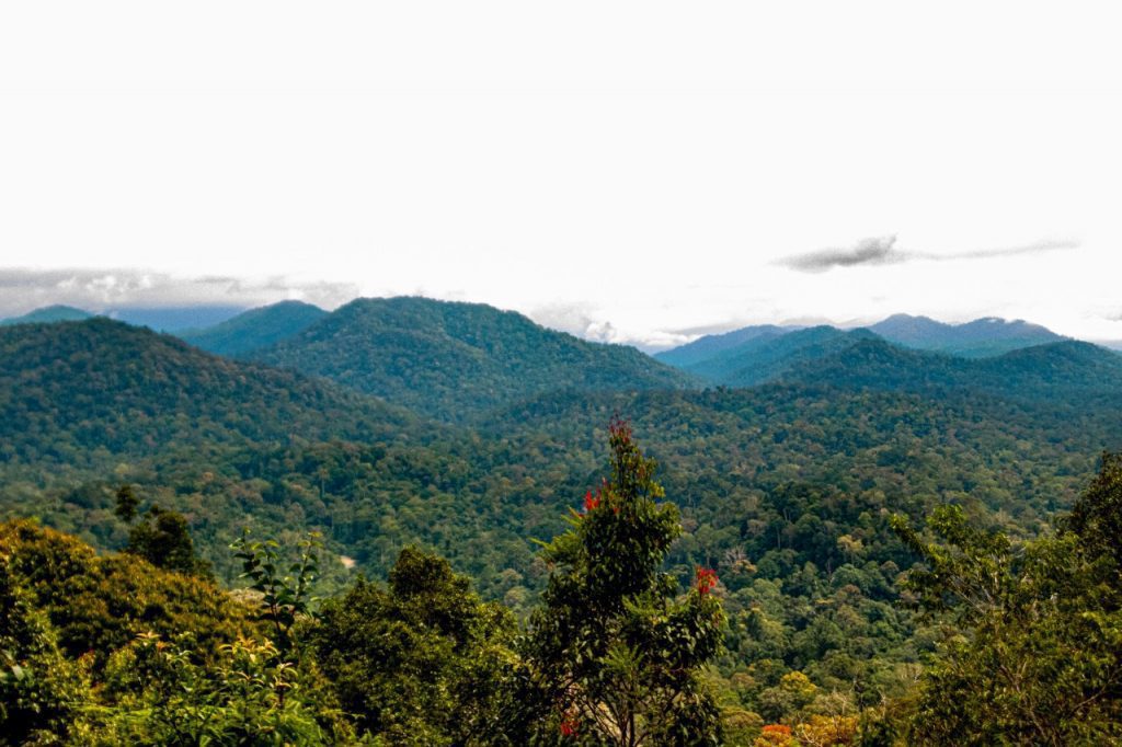 Bukit Teresek, Taman Negara, Malaysia