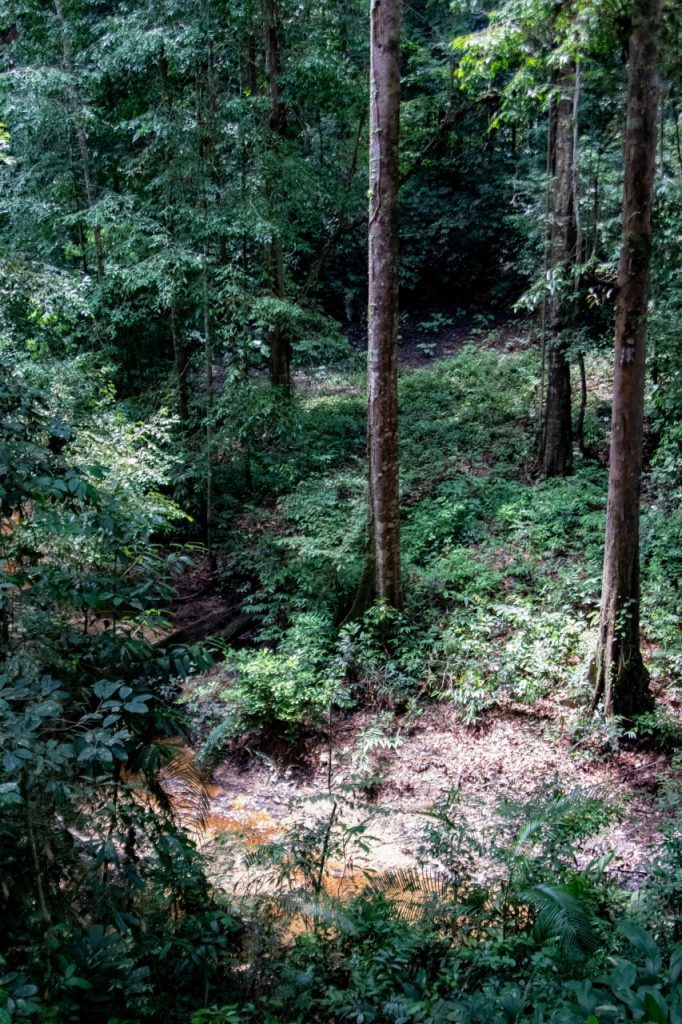 Taman Negara, Malaysia