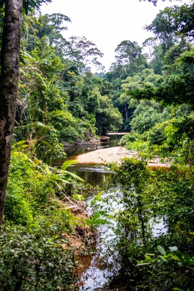 Taman Negara, Malezja