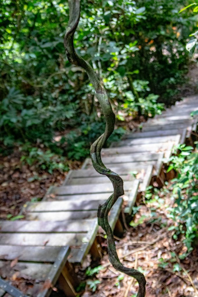 Taman Negara, Malaysia