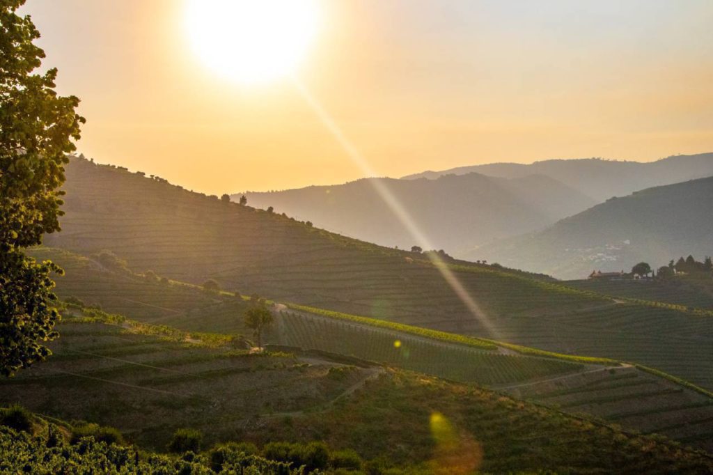 Quinta da Côrte, Douro Valley, Portugal