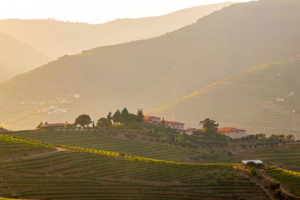 Quinta da Côrte, Douro Valley, Portugal