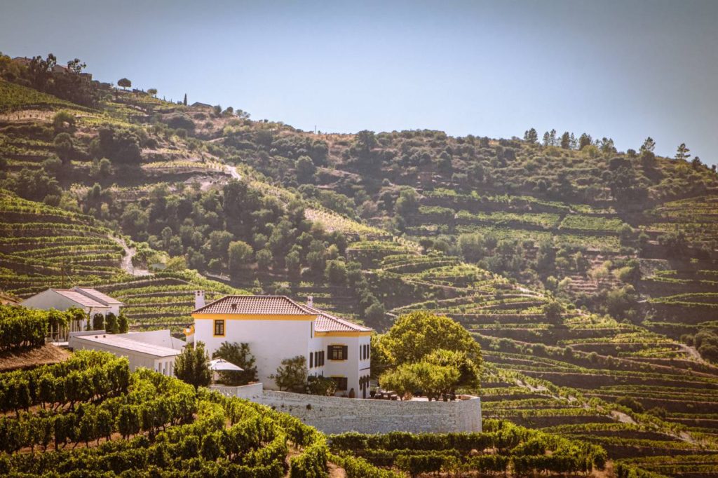 Quinta da Côrte, Douro Valley, Portugal
