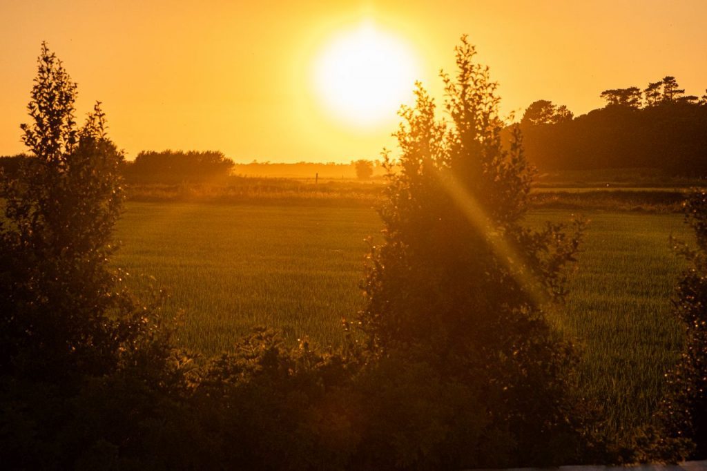 Sunset over the rice paddies, Comporta, Portugal