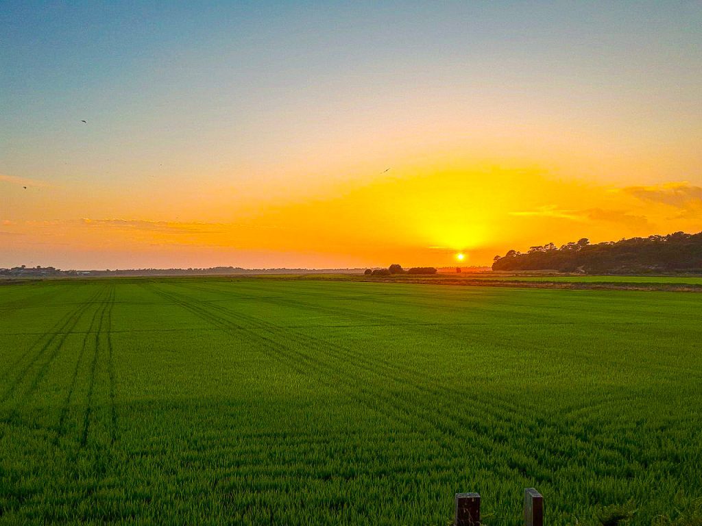 Sunset over the rice paddies, Comporta, Portugal