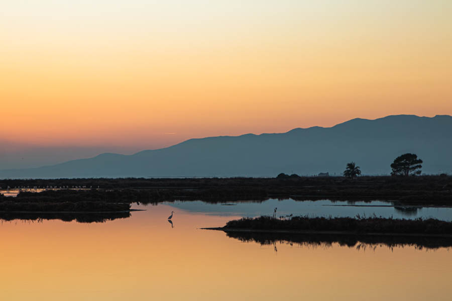The Ebro River Delta stands out as one of Catalonia hidden gems