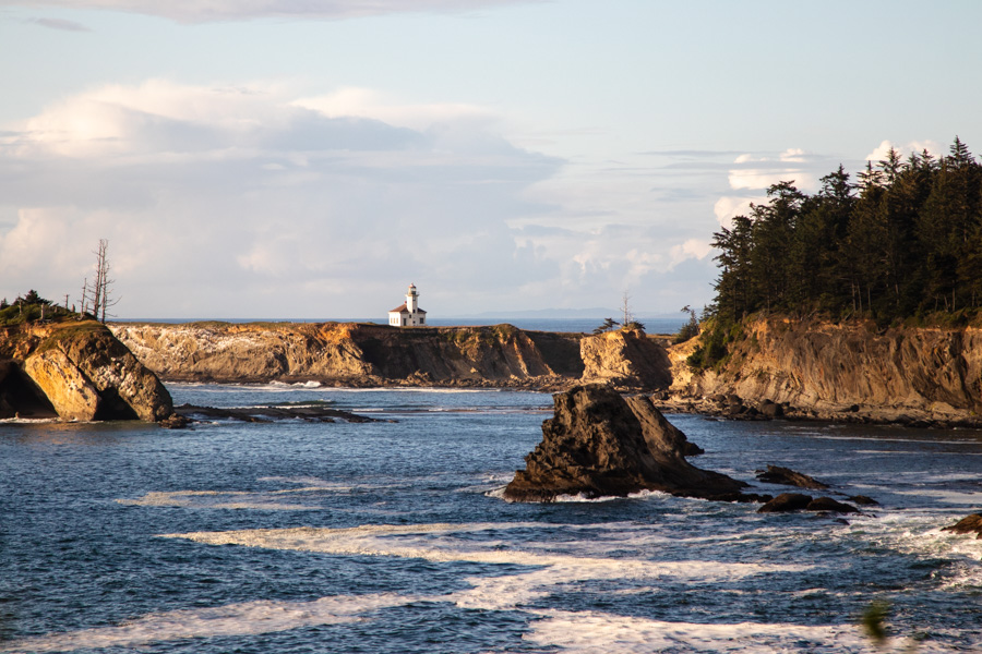 Cape Arago State Park: See the Lighthouse and Lovely Sea Creatures