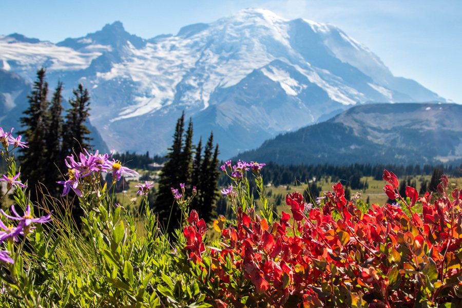 Jaki jest najlepszy czas na wizytę w Parku Narodowym Mount Rainier?