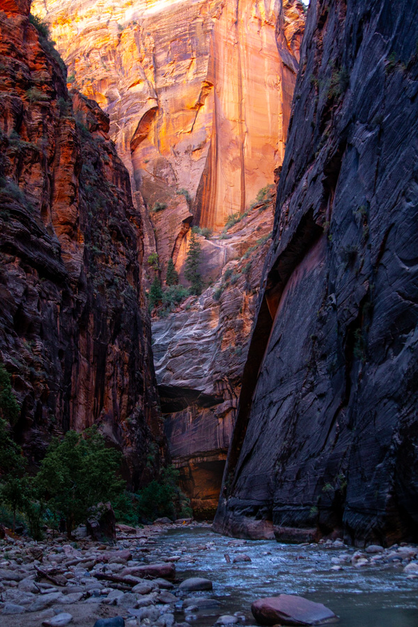 The Narrows in Zion National Park is a stunning gorge where the Virgin River flows between towering walls