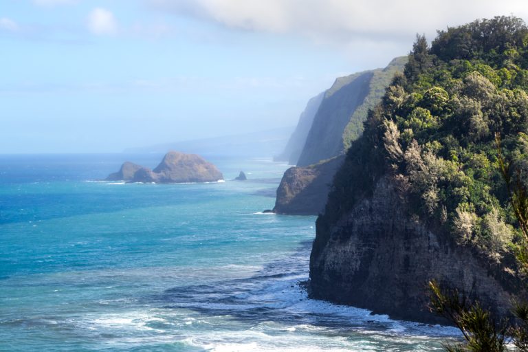 10 Absolute Best Places to Travel in March in the US