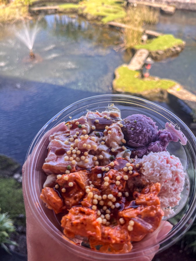 The colorful poke from Poke Market in Hilo is a true explosion of flavors