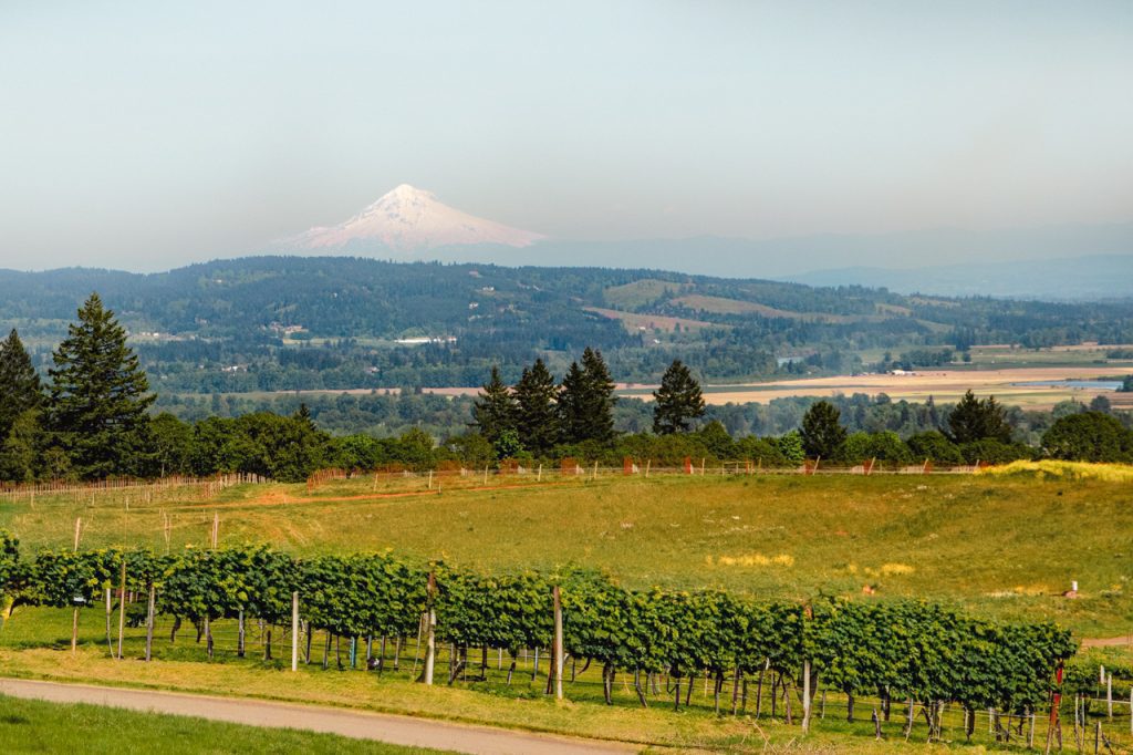 Best Wineries in the Willamette Valley, Oregon