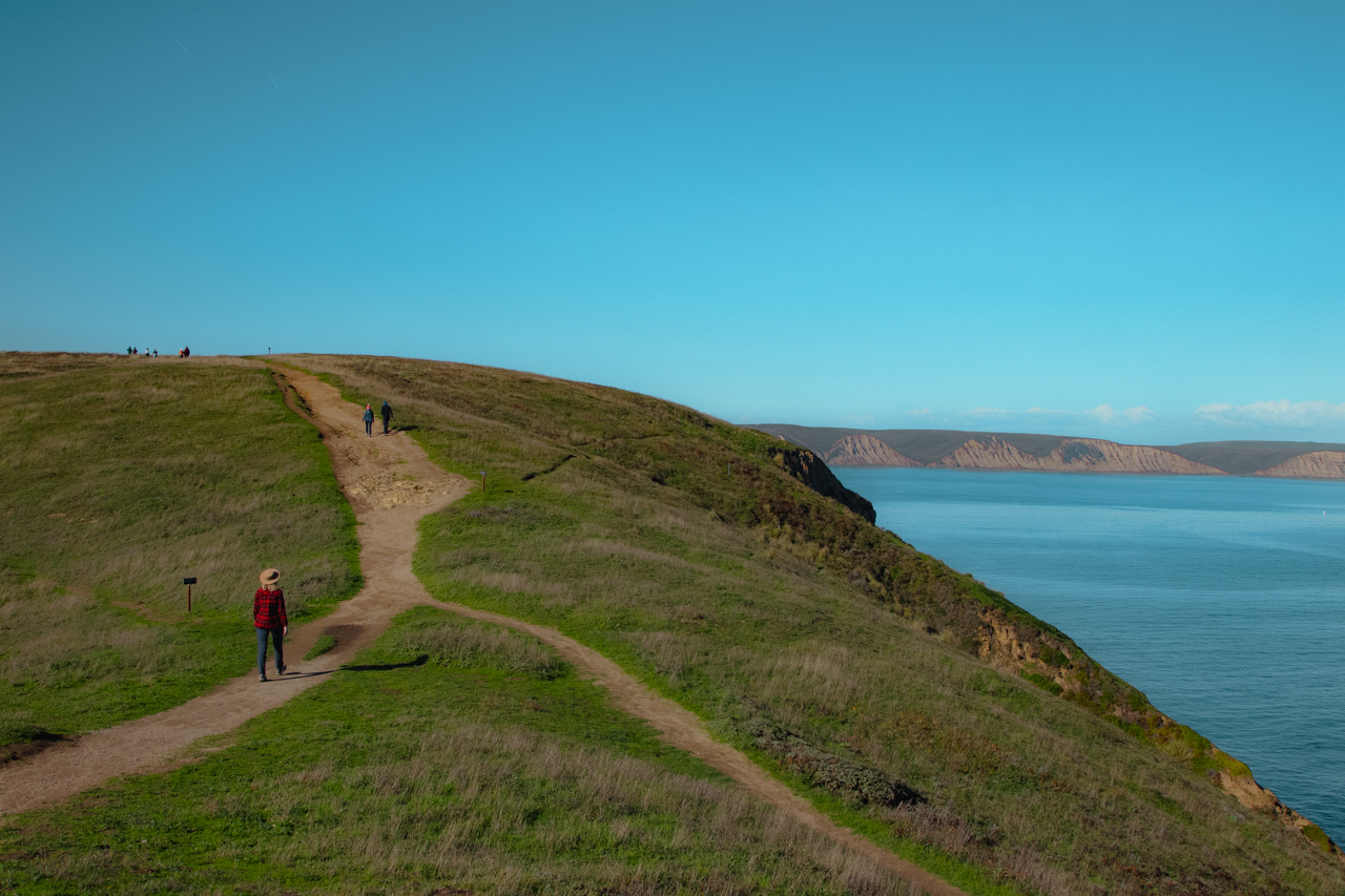 Hiking Chimney Rock is one of the best things to do in Point Reyes National Seashore