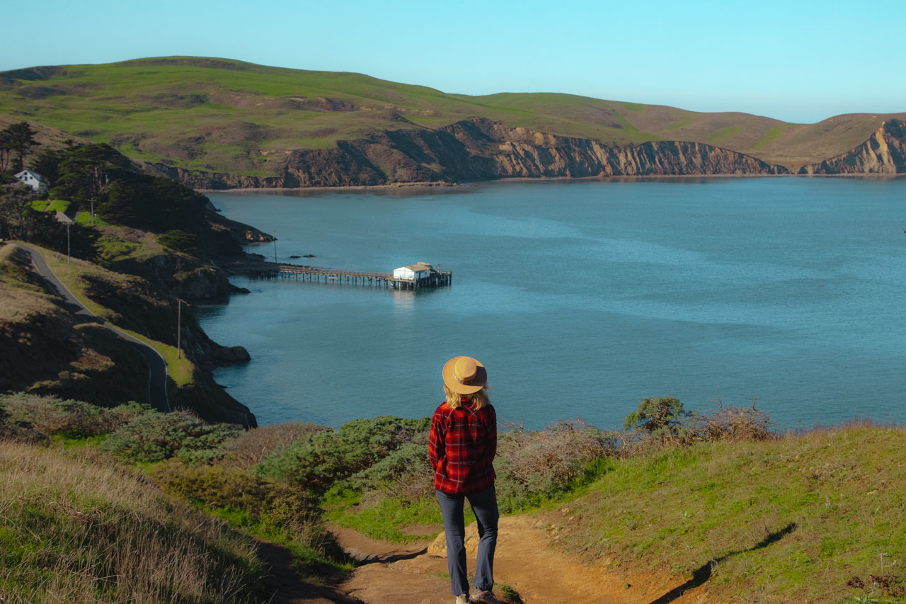 The Point Reyes Peninsula is one of the best places to spot magnificent elephant seals