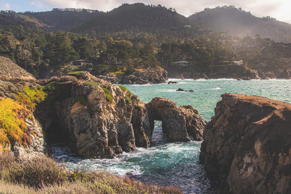 Point Lobos State Natural Reserve delights with its scenic views and wildlife
