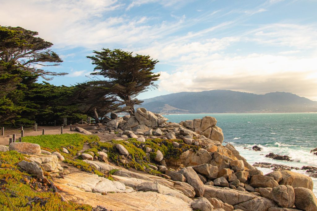 The Lone Cypress is one of the most famous attractions on the 17 Mile Drive