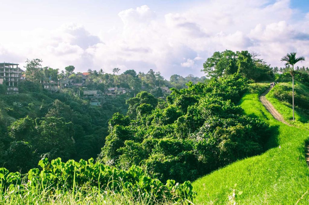 Walking along the Campuhan Ridge trail is a perfect way to escape the city hustle and bustle