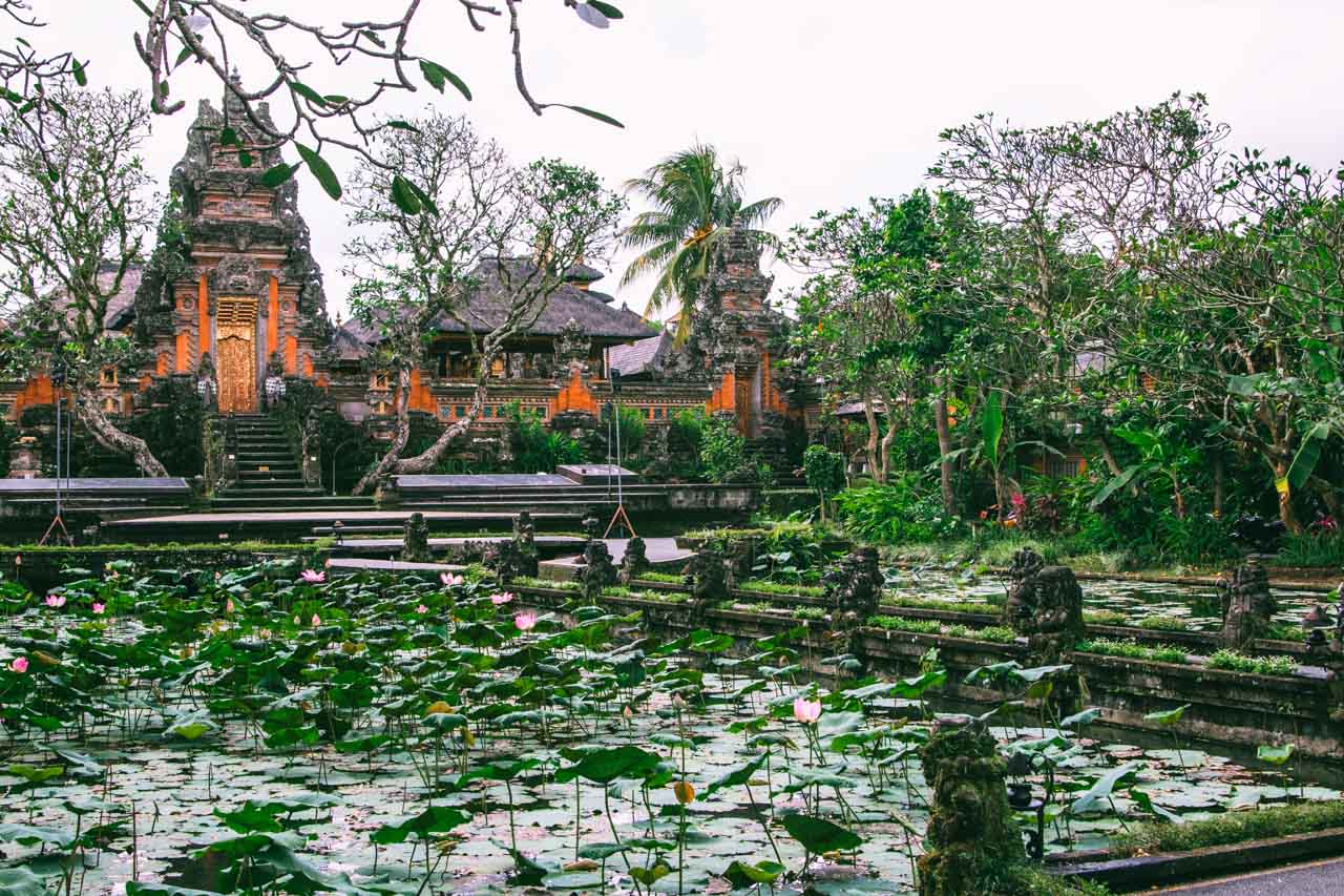 14 Very Best Things to Do in Ubud, Bali for First-Timers 🌴