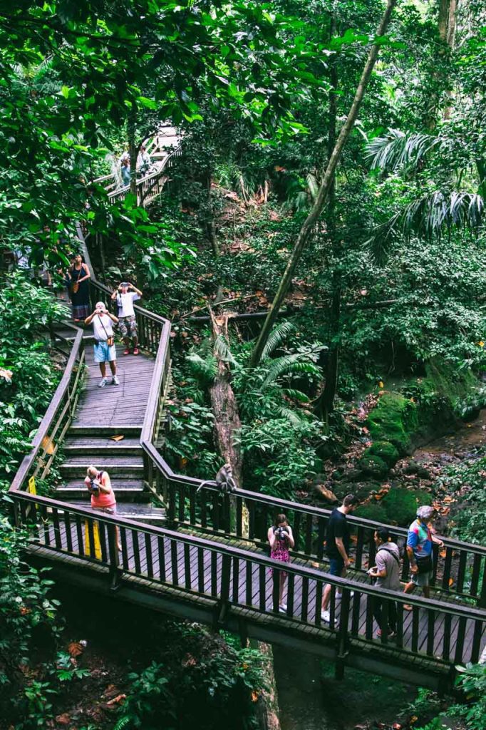 Exploring the Monkey Forest offers a unique chance to meet charming macaques.