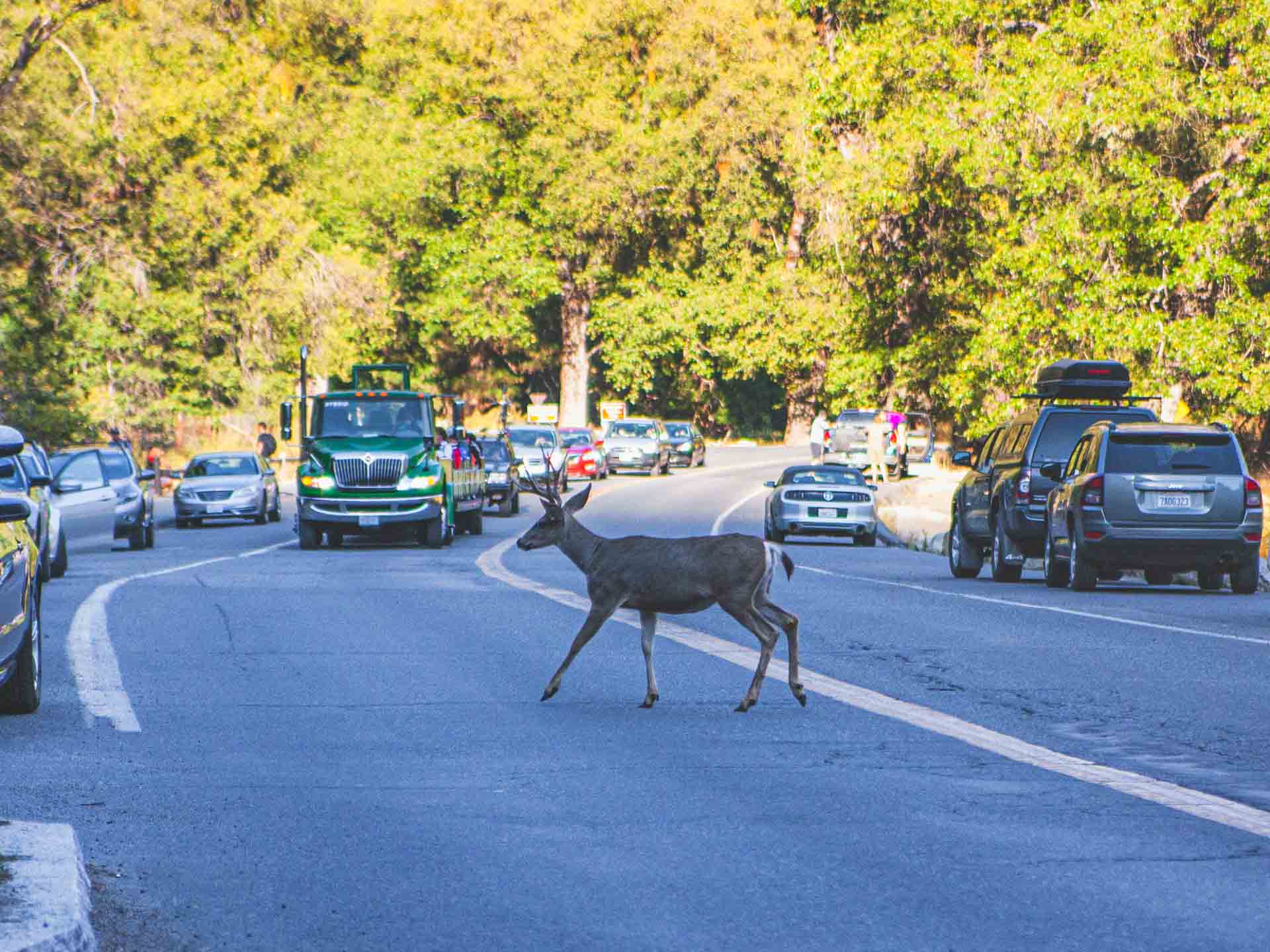 Things to Do on Yosemite