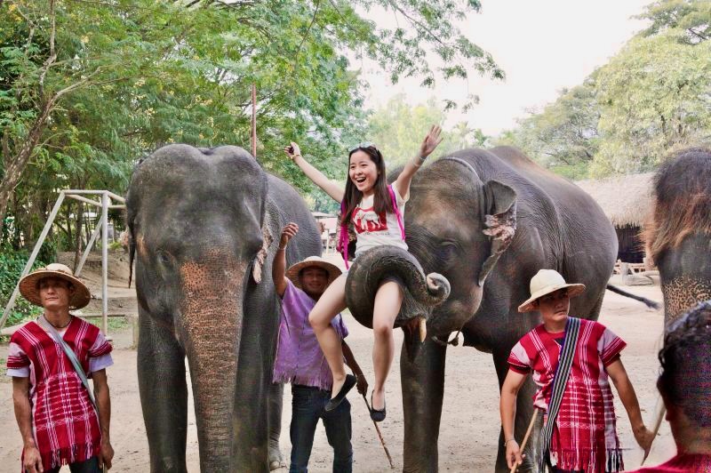 When visiting Chiang Mai, steer clear of places that offer elephant rides and shows