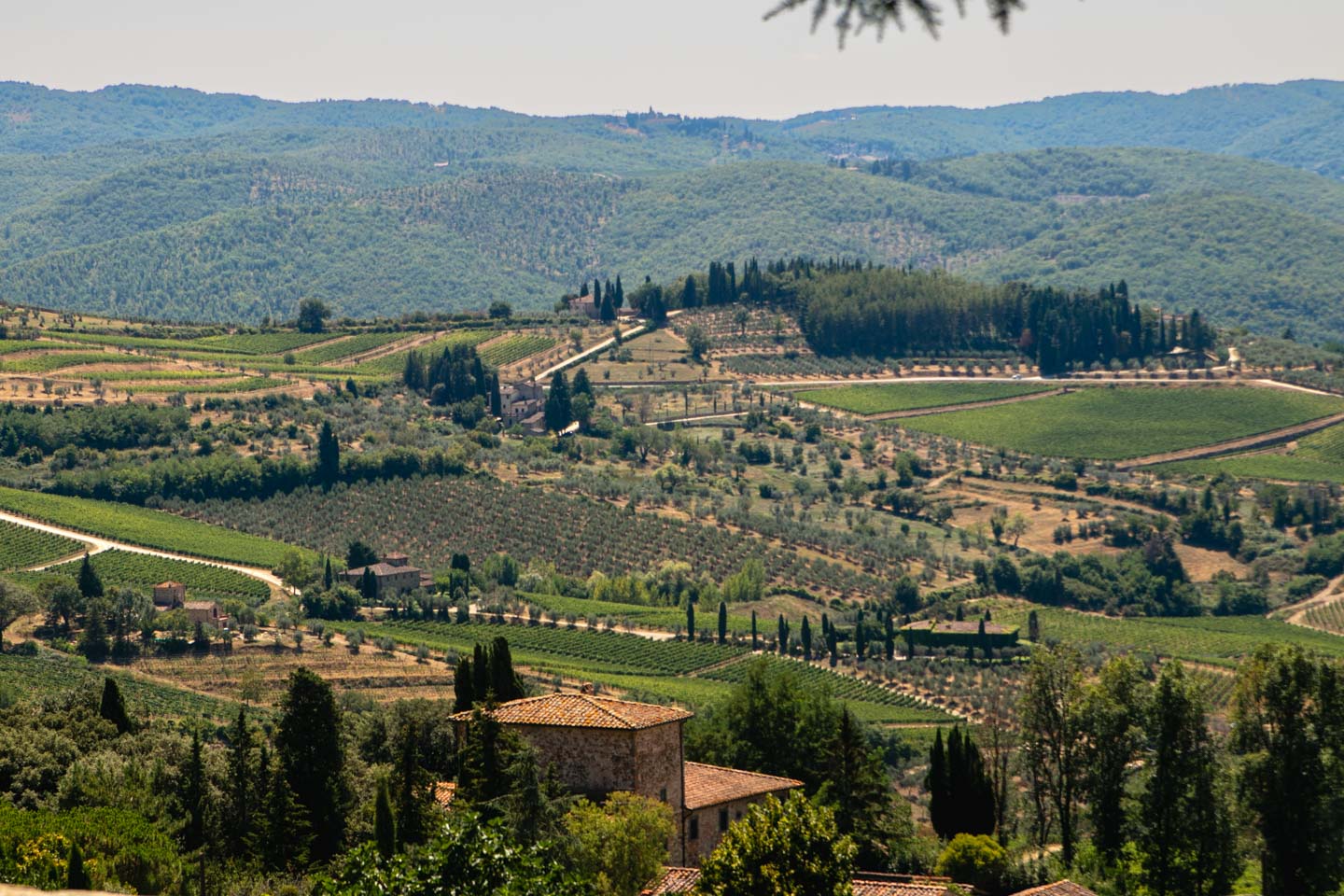 Panzano in Chianti, Toskania, Włochy