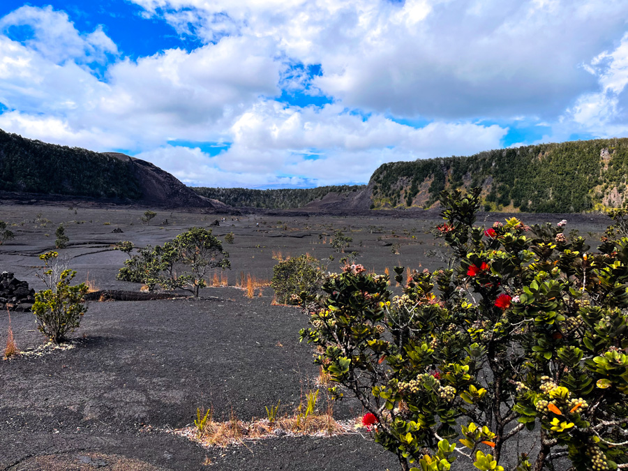 10 Awesome Things to Do in Hawai'i Volcanoes National Park for First-Timers