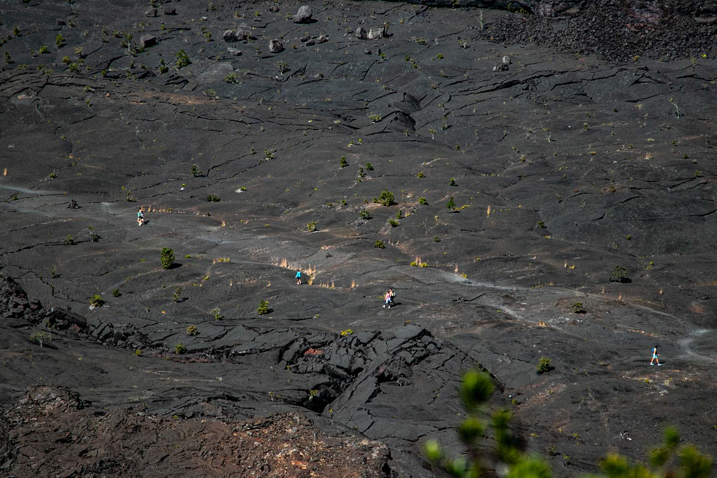 Panoramic view of Kilauea Iki from Devastation Trail, Hawai'i Volcanoes National Park