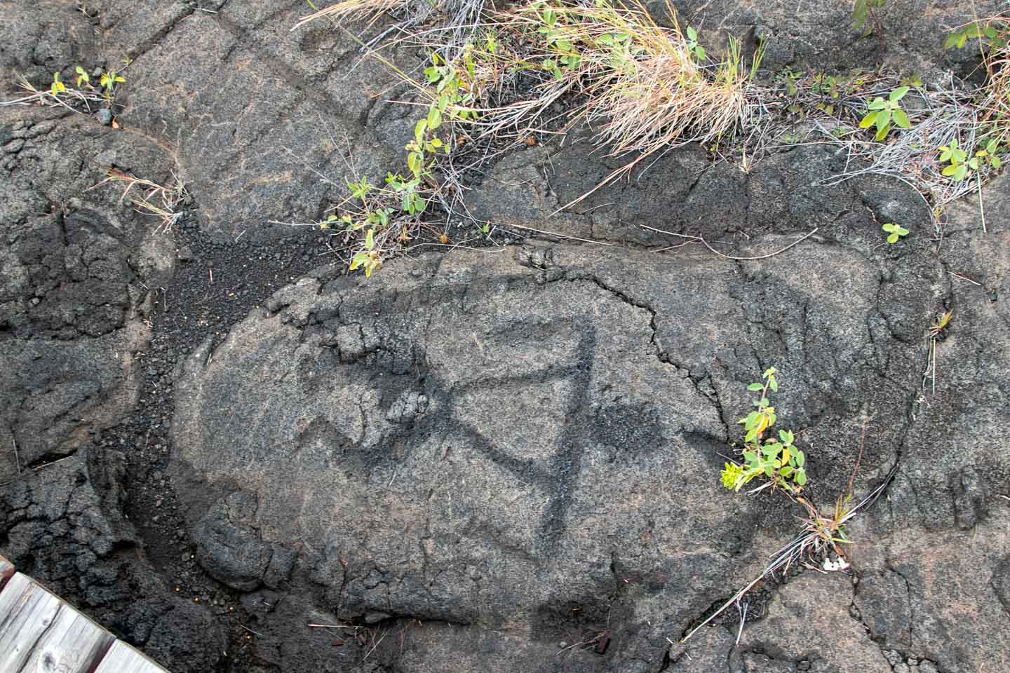 Pu'uloa Petroglyphs Trail, Hawai'i Volcanoes National Park