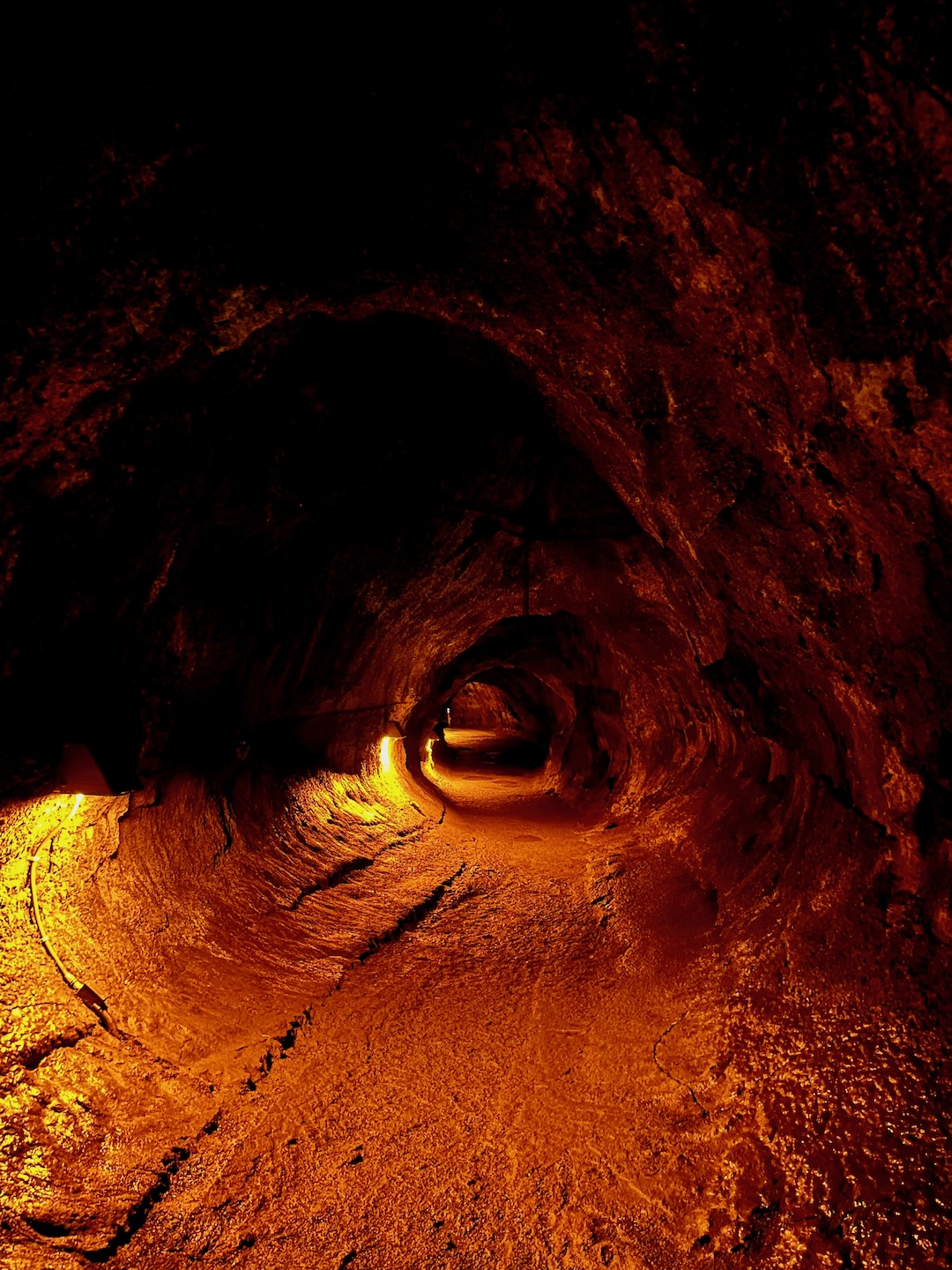 Thurston Lava Tube is one of the most popular things to do in Hawai'i Volcanoes National Park