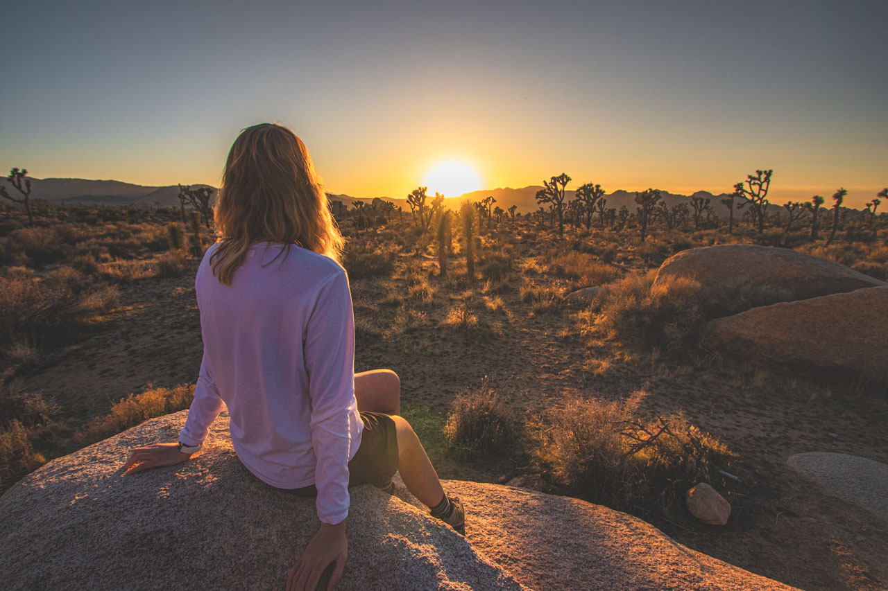 The Ultimate USA Travel Guide: From My Personal Experience
