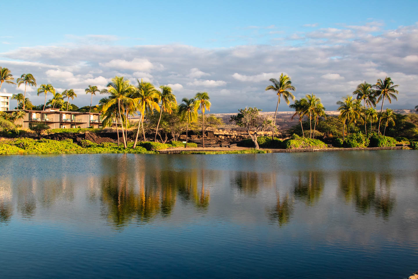 Zatoka Anaeho'omalu na wyspie Hawai'i