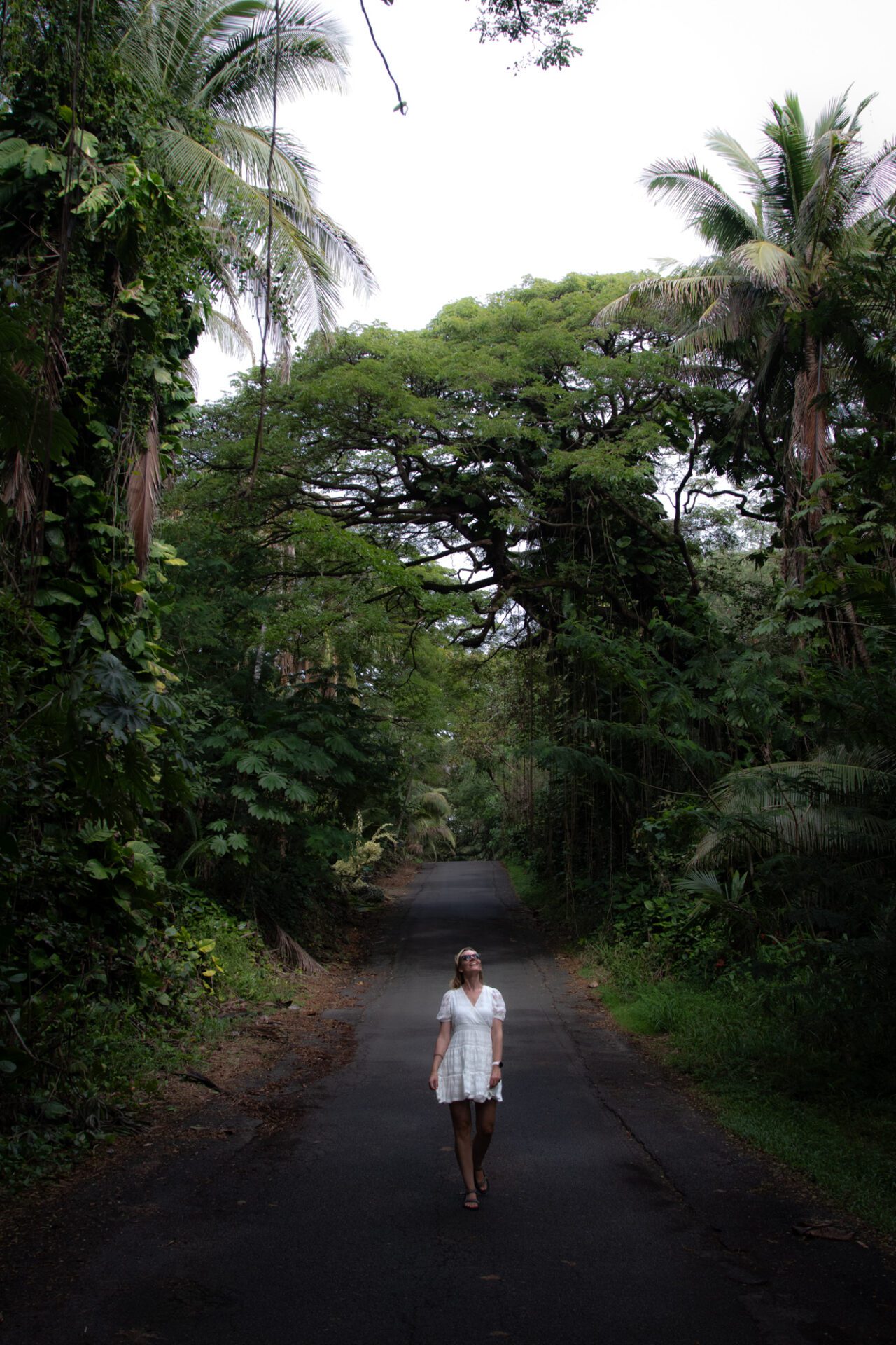 Puna na wyspie Hawai'i