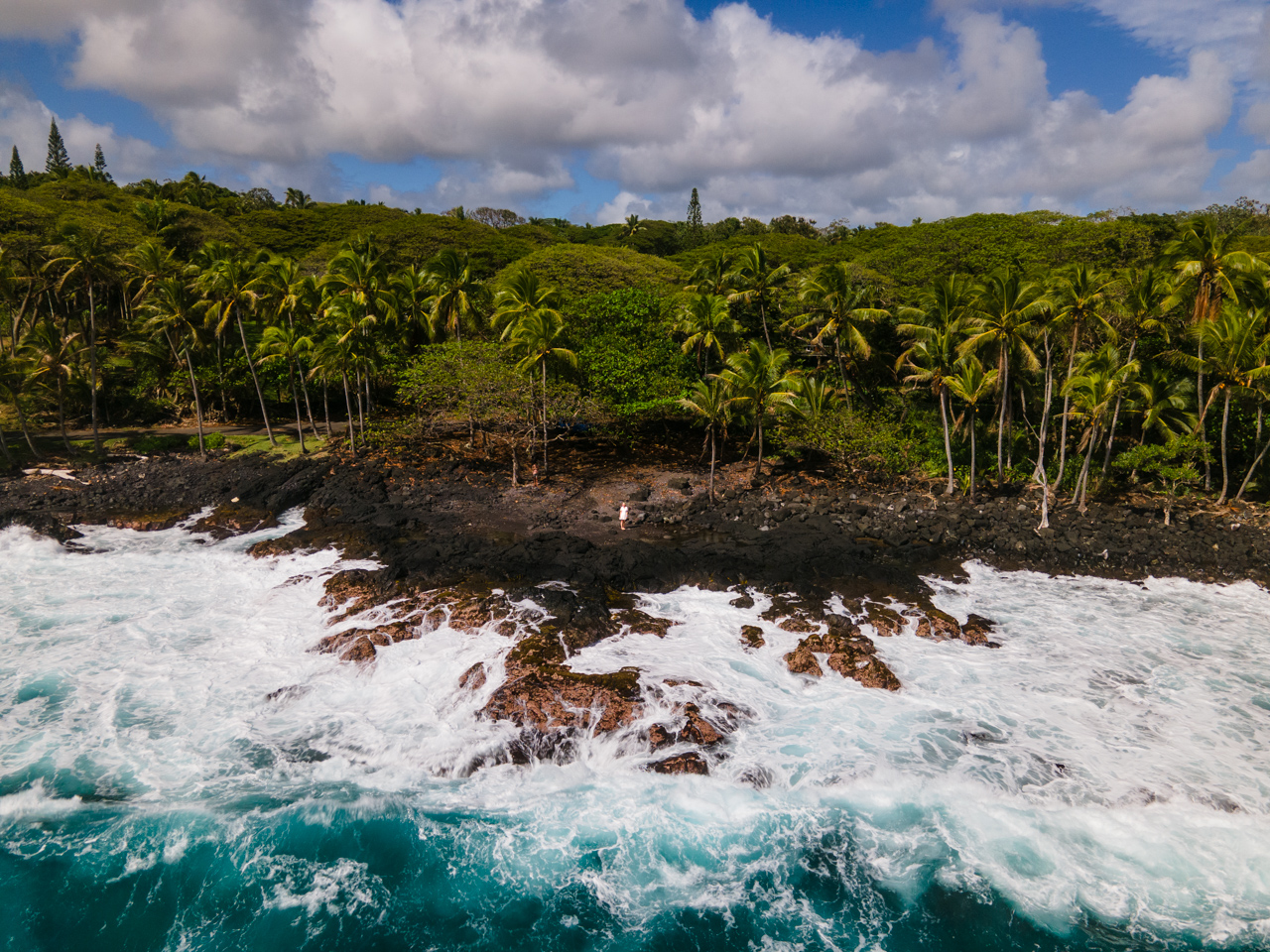 Puna na wyspie Hawai'i