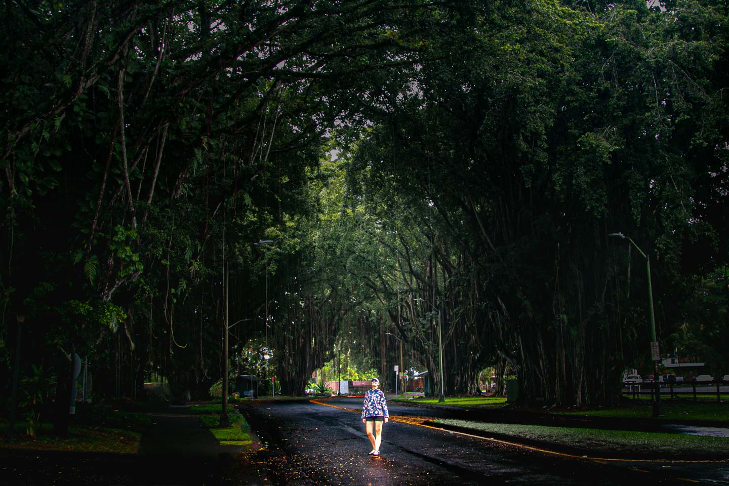 Banyan Drive, Hilo, Wyspa Hawai'i