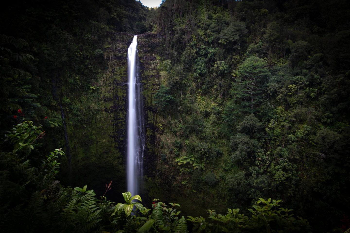 Wodospad Akaka na wyspie Hawai'i