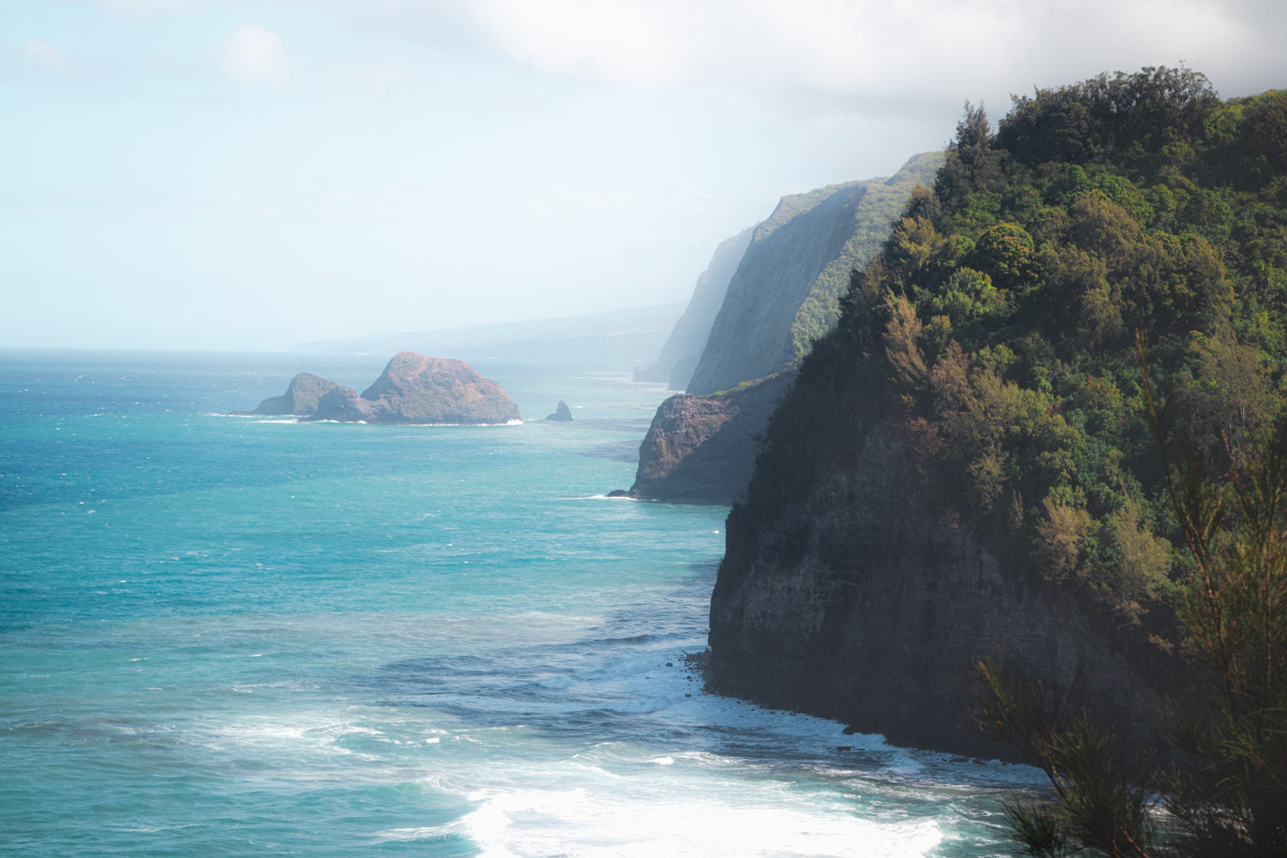 Dolina Pololu na wyspie Hawai'i