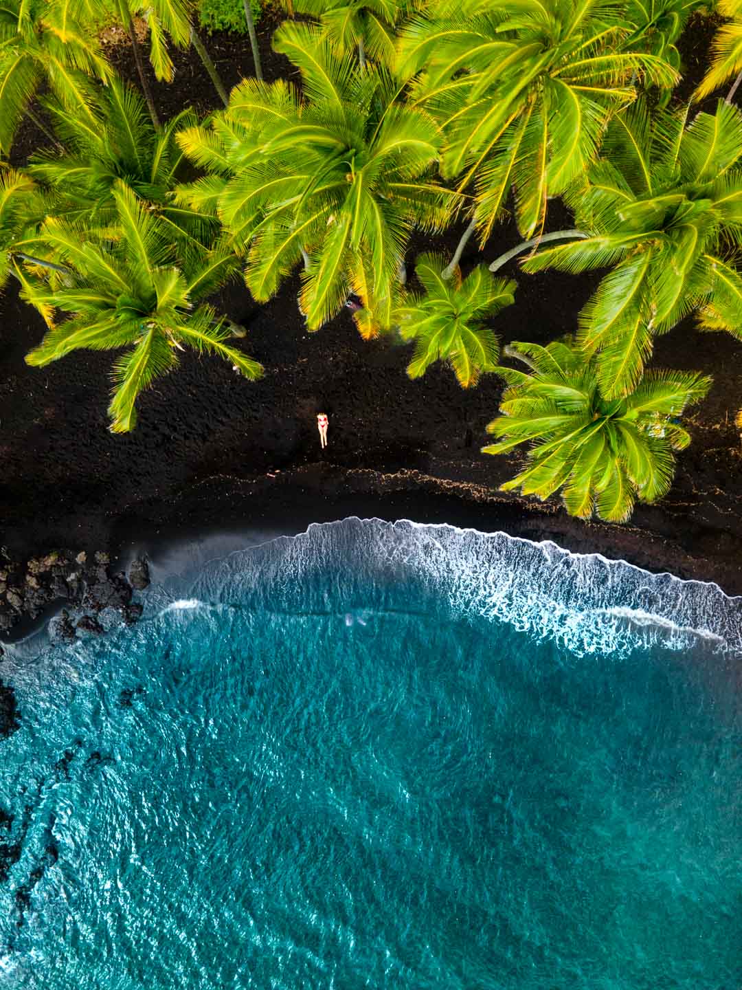 Plaża Punalu'u na wyspie Hawai'i