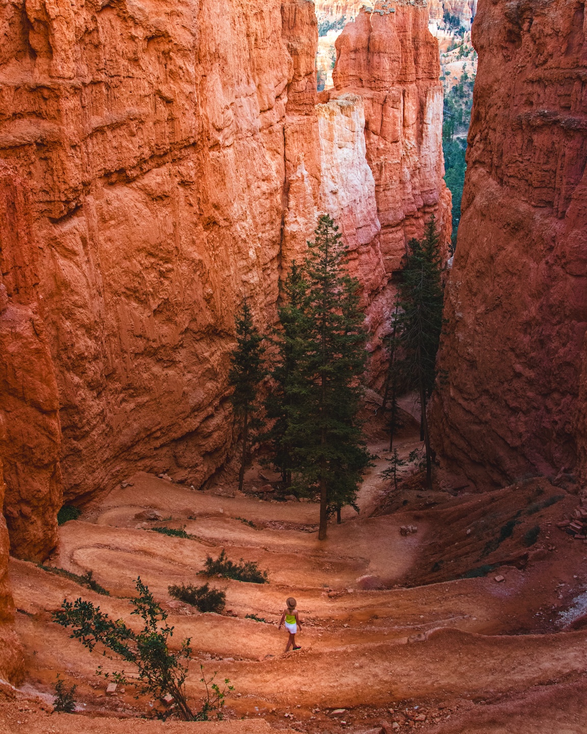 Szlak Navajo Loop, Park Narodowy Bryce Canyon