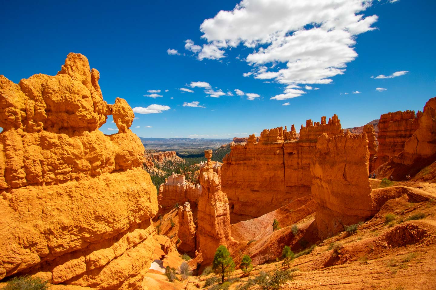 Jak dojechać do Bryce Canyon?