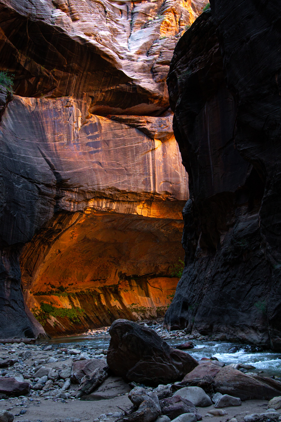 The Narrows is an extraordinary trail leading through the canyon formed by the Virgin River