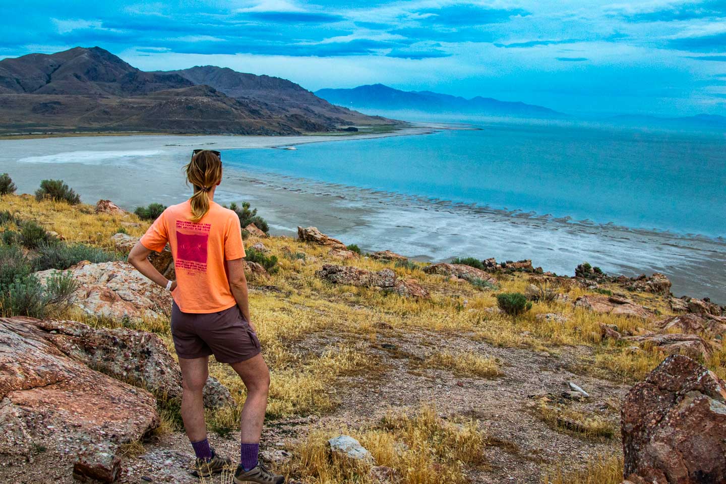 Antelope Island State Park is an oasis of wildlife and scenic beauty