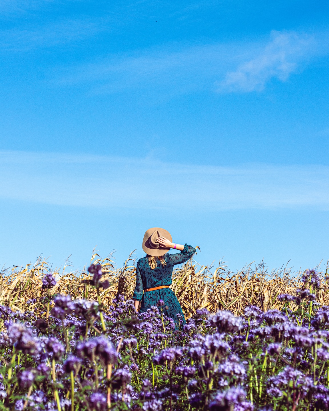 Kobieta w kapeluszu stoi wśród fioletowych kwiatów i pól kukurydzy jesienią