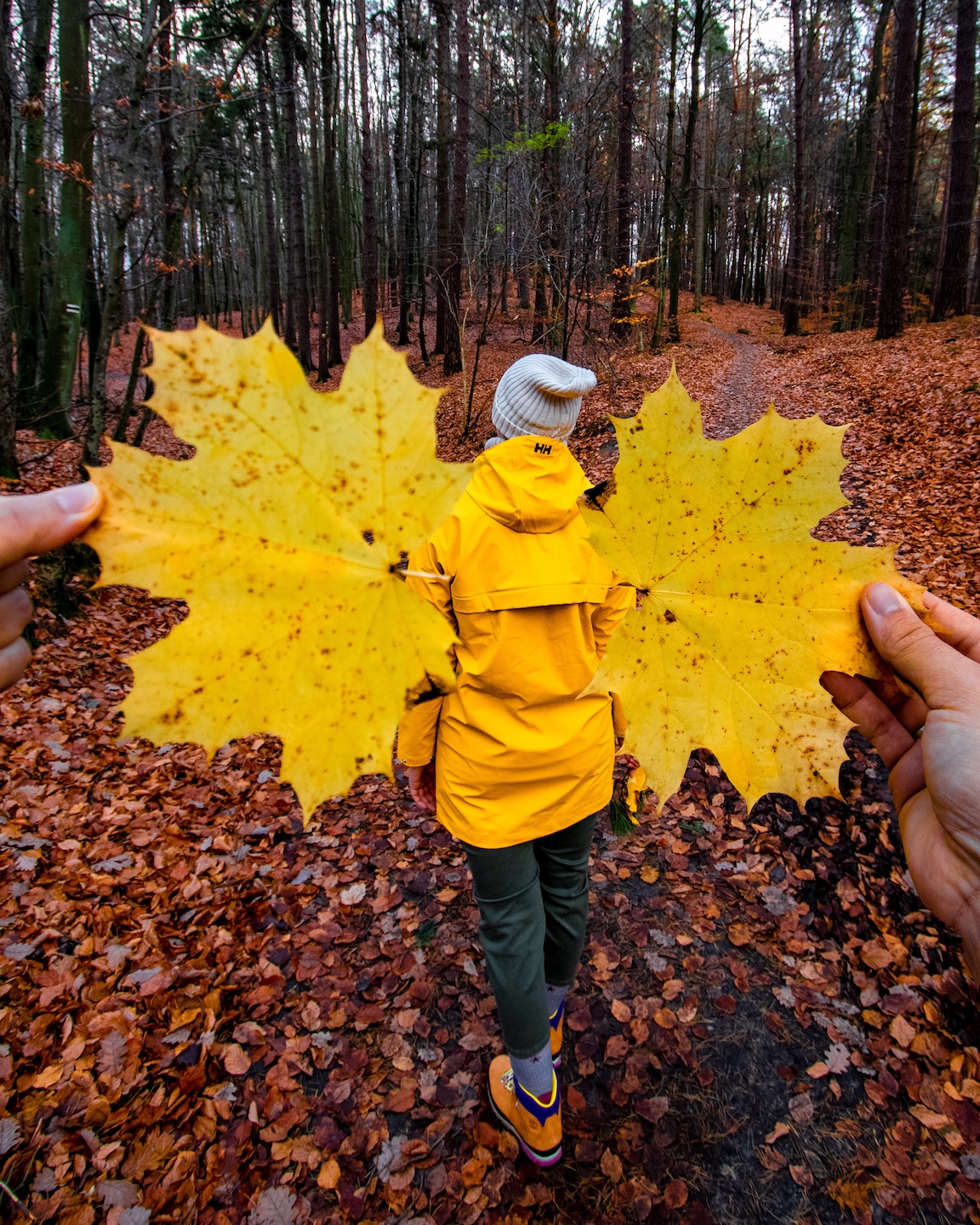 Kobieta w żółtej kurtce spaceruje jesiennym lasem, otoczona pomarańczowymi liśćmi; na pierwszym planie dwie żółte klonowe liście tworzą symboliczne „skrzydła jesieni”.