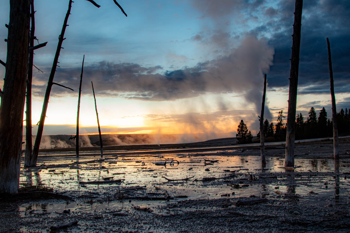 7. Lower Geyser Basin - tańcząca woda, sycząca ziemia i bulgoczące błoto