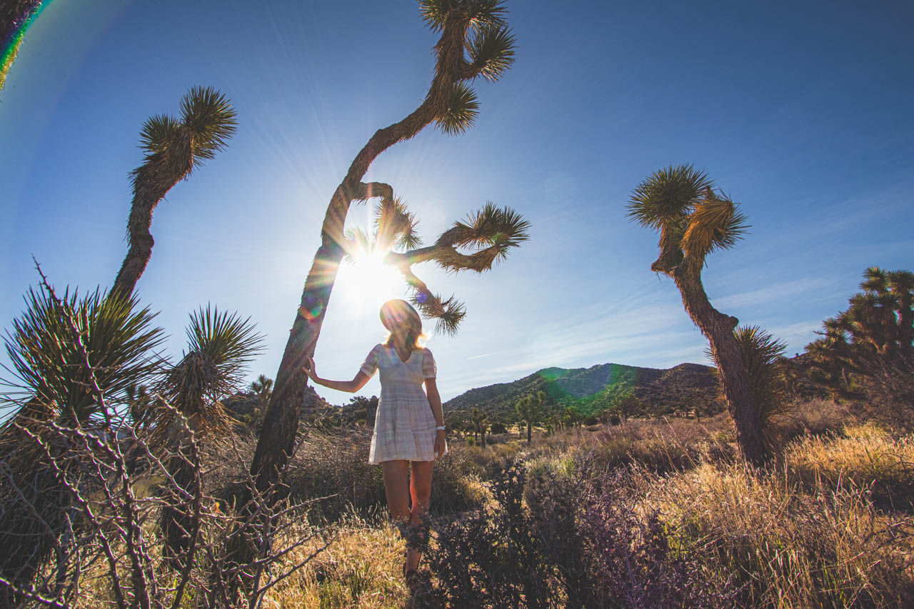 Top 5: Najpiękniejsze miejsca w USA: Park Narodowy Joshua Tree, Kalifornia